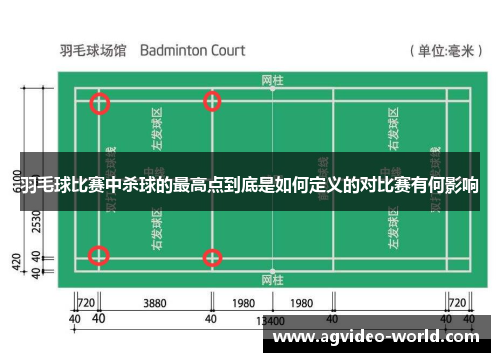 羽毛球比赛中杀球的最高点到底是如何定义的对比赛有何影响